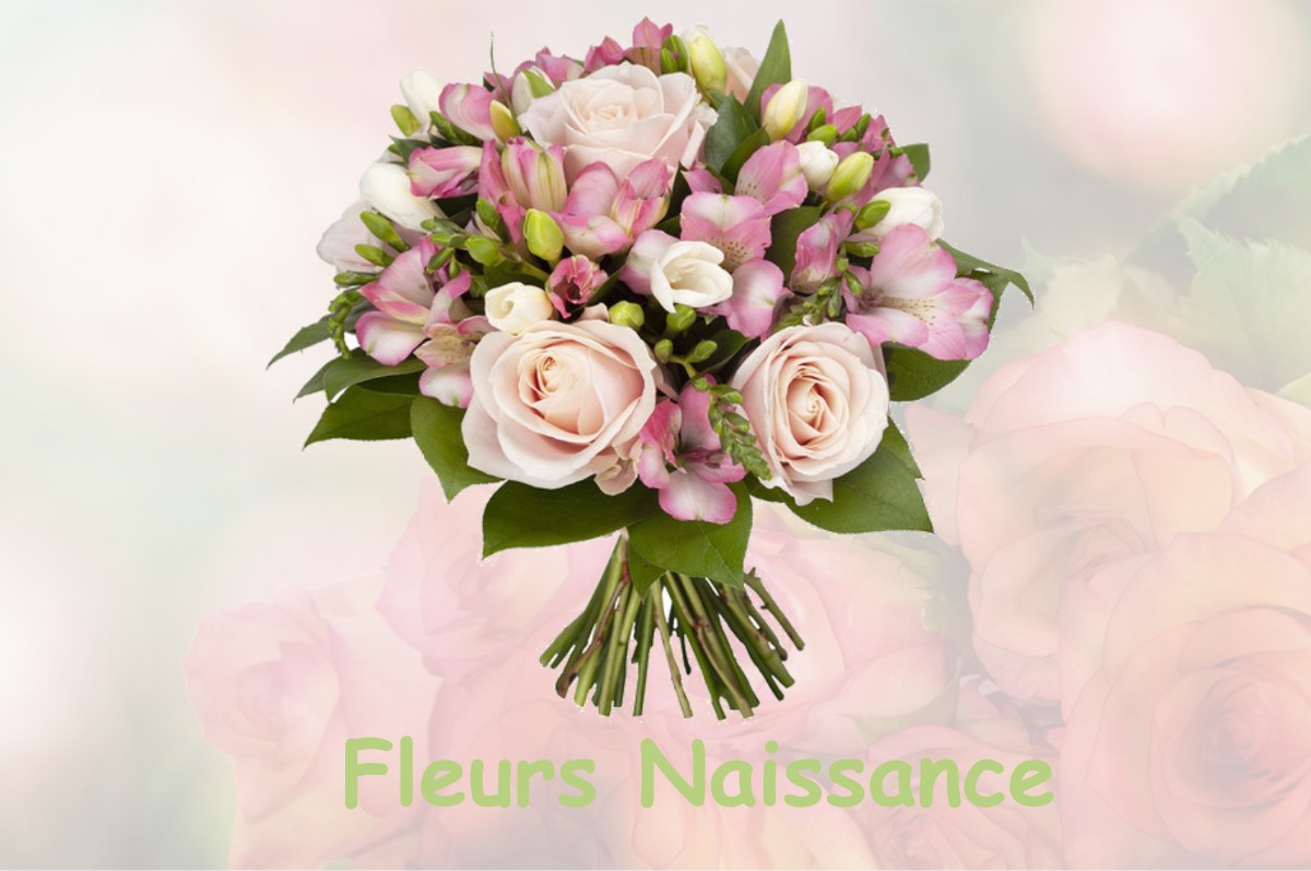 fleurs naissance SAINT-MARCEL-DE-FELINES