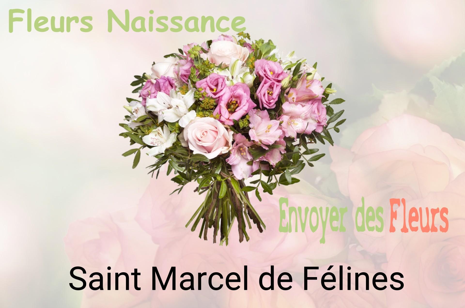 Bouquet de fleurs de naissance livré à Saint-Marcel-de-Félines