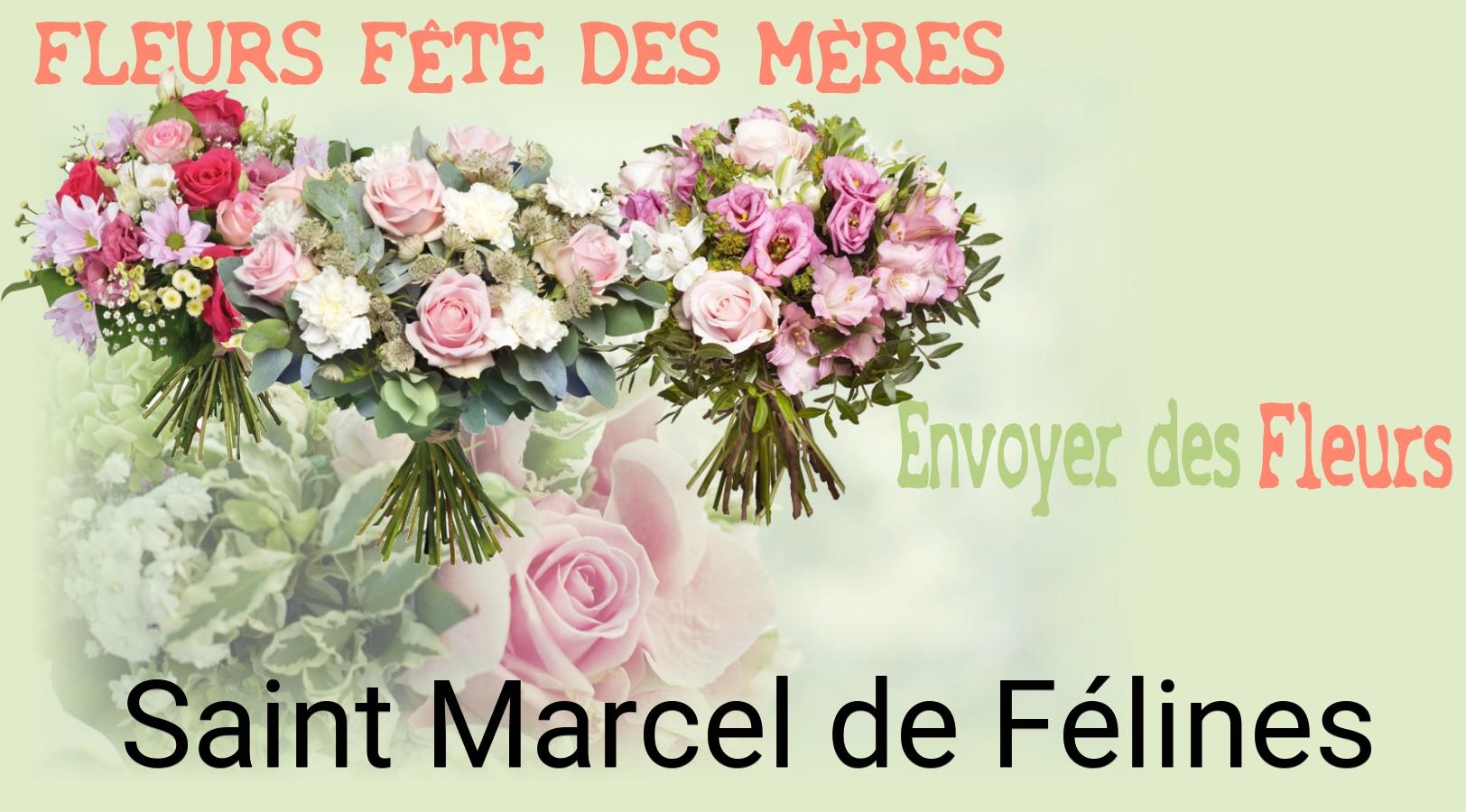 Bouquet de Fête des Mères livré à Saint-Marcel-de-Félines